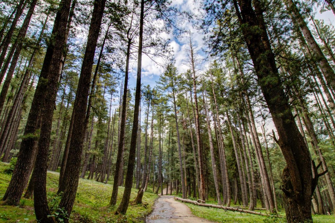 Hotel Little Silver Pahalgam Luaran gambar